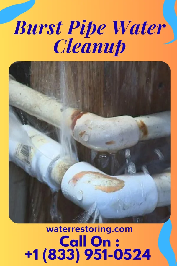 Burst Pipe Water Cleanup in Harmony, MN