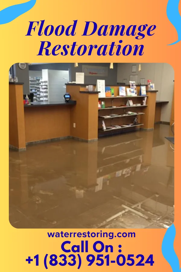Flood Damage Restoration in Harmony, MN