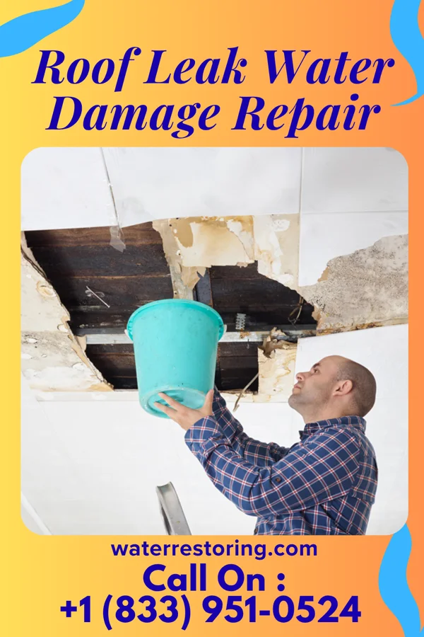 Roof Leak Water Damage Repair in Harmony, MN